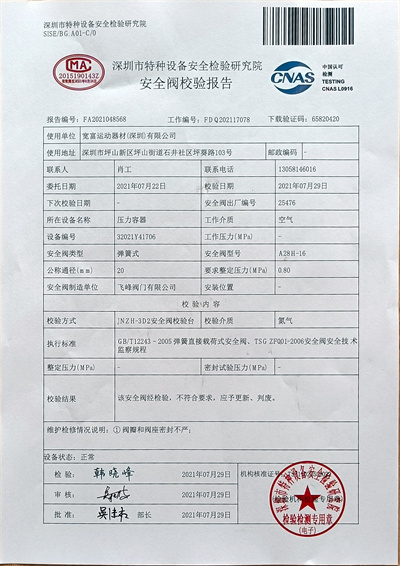 深圳坪山安全阀检测